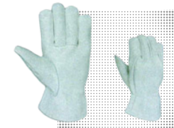 ASP-19